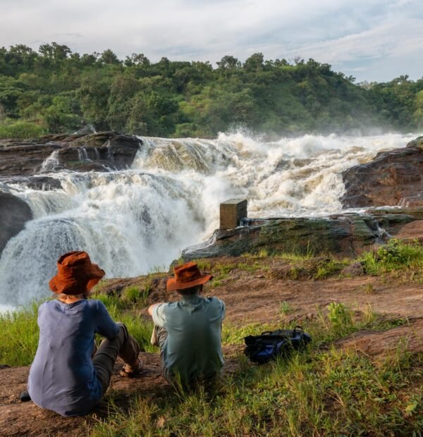 Uganda Safari Murchison Kidepo | 10-Day Wildlife Adventure