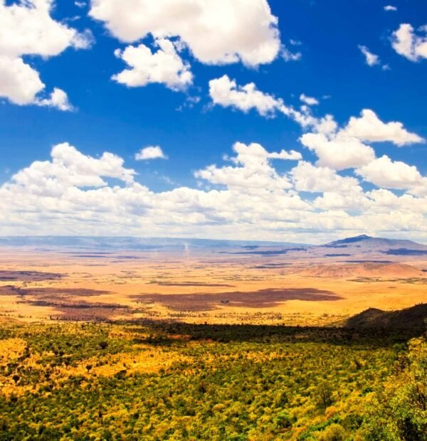 7-Day Great Rift Valley Explorer in Kenya