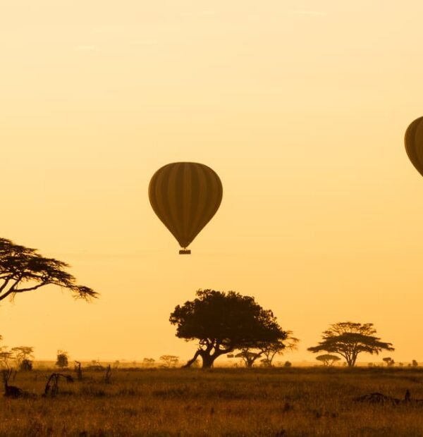 5-days Tanzania Hot Air Balloon Safari