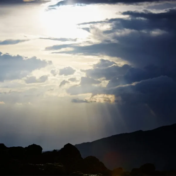Day hike on the Shira Plateau