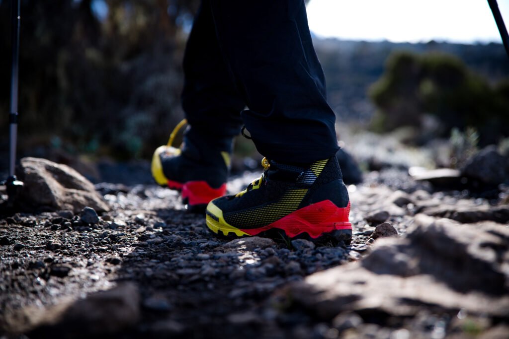 8-day trip: climbing Kilimanjaro