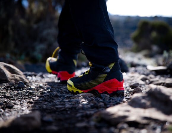 8-day trip: climbing Kilimanjaro