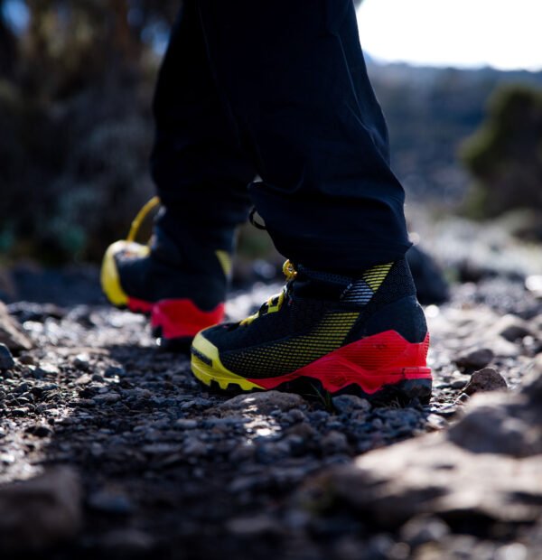 8-day trip: climbing Kilimanjaro