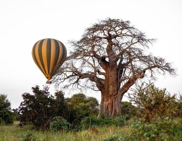 Hot air balloon flight in Tarangire