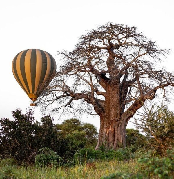 Hot air balloon flight in Tarangire