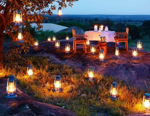 Bush dinner in the Serengeti