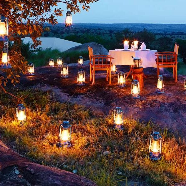 Bush dinner in the Serengeti