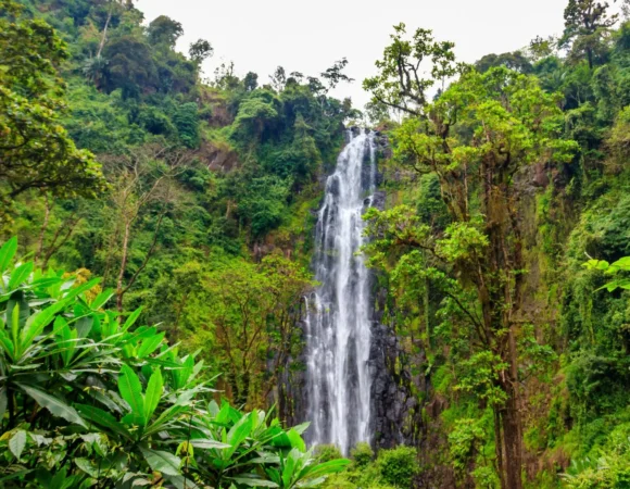 Walk from Materuni village to Kuringe waterfall