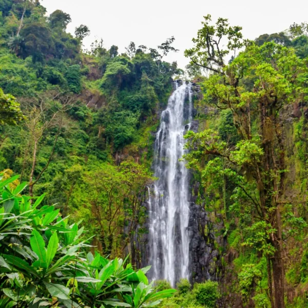 Walk from Materuni village to Kuringe waterfall