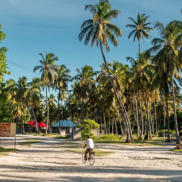 Take a bike tour in Zanzibar!