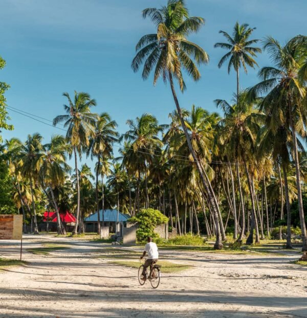 Take a bike tour in Zanzibar!