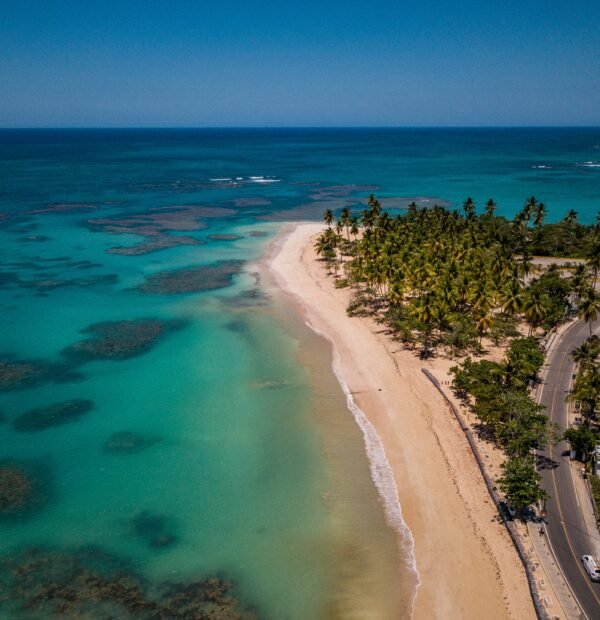 10 DAYS SAFARI MIKUMI