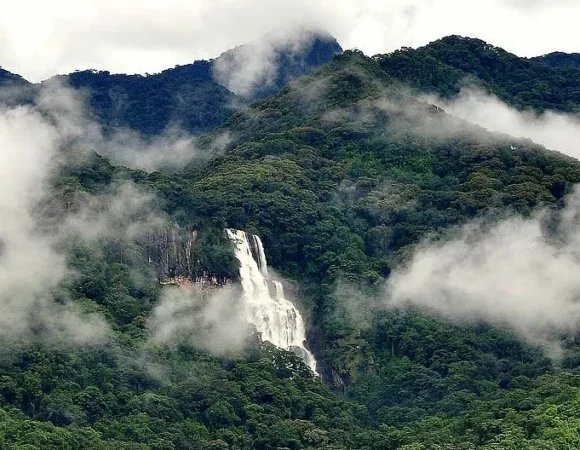 Udzungwa Mountains National Park