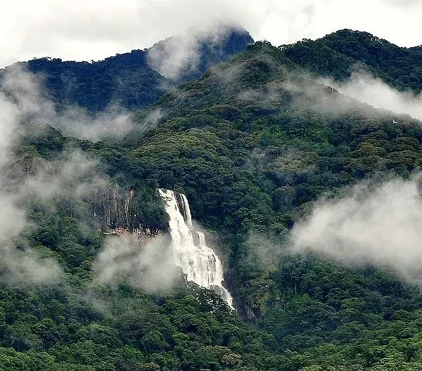 Udzungwa Mountains National Park
