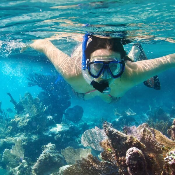 Snorkelling near Mnemba Island
