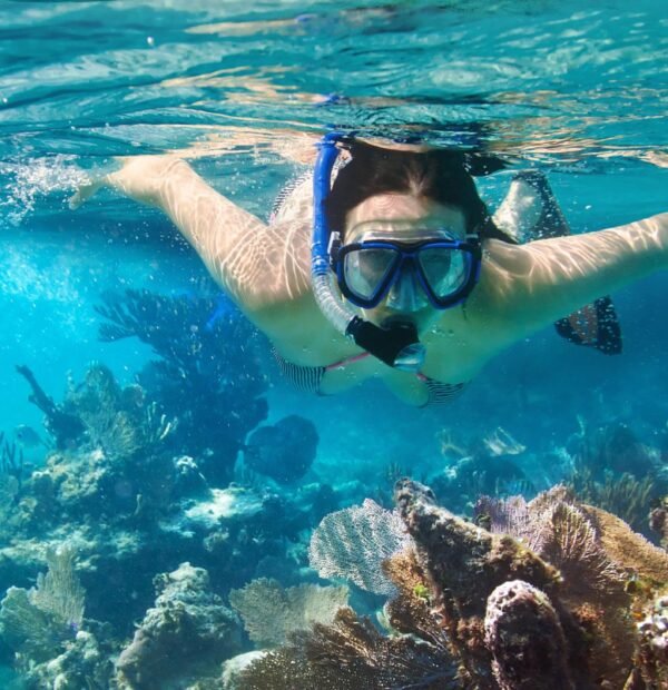Snorkelling near Mnemba Island